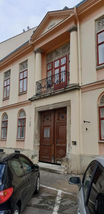 Enjoy 110Qm Apartment Im Historischen Zentrum Σόπρον Εξωτερικό φωτογραφία